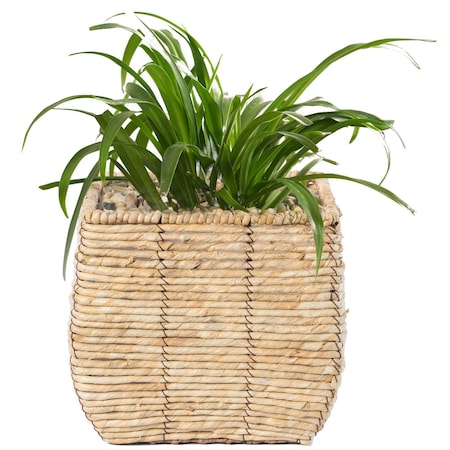 Vintiquewise Woven Square Flower Pot Planter with Leak-Proof Plastic Lining - Medium QI003833.M